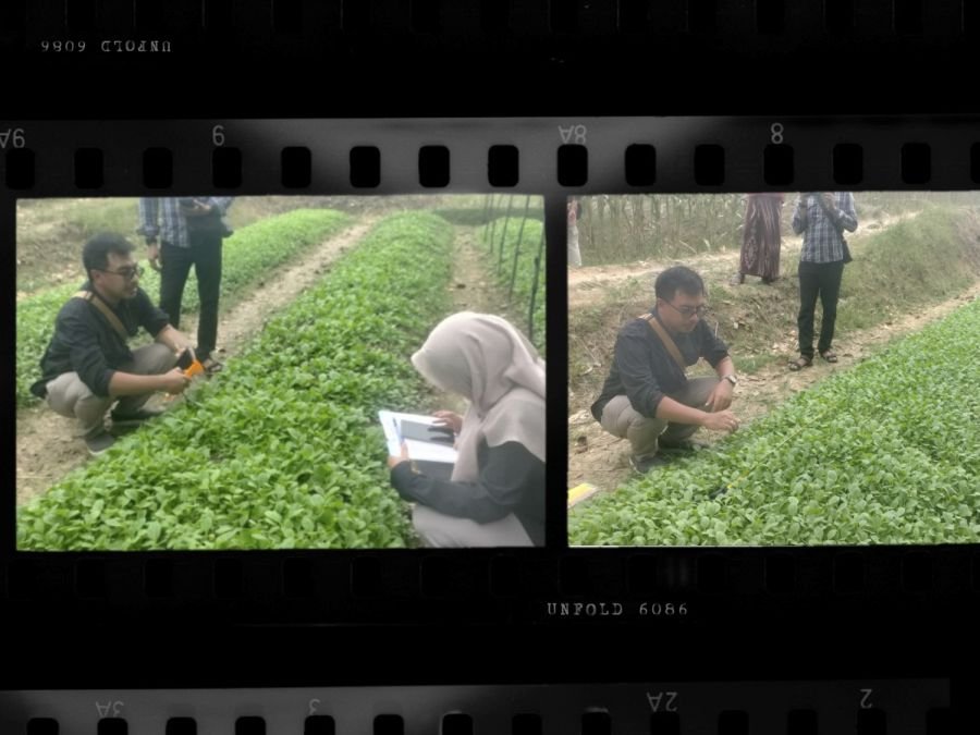 Pemkab Bojonegoro Salurkan Bantuan Benih Tembakau Unggul Bagi Petani
