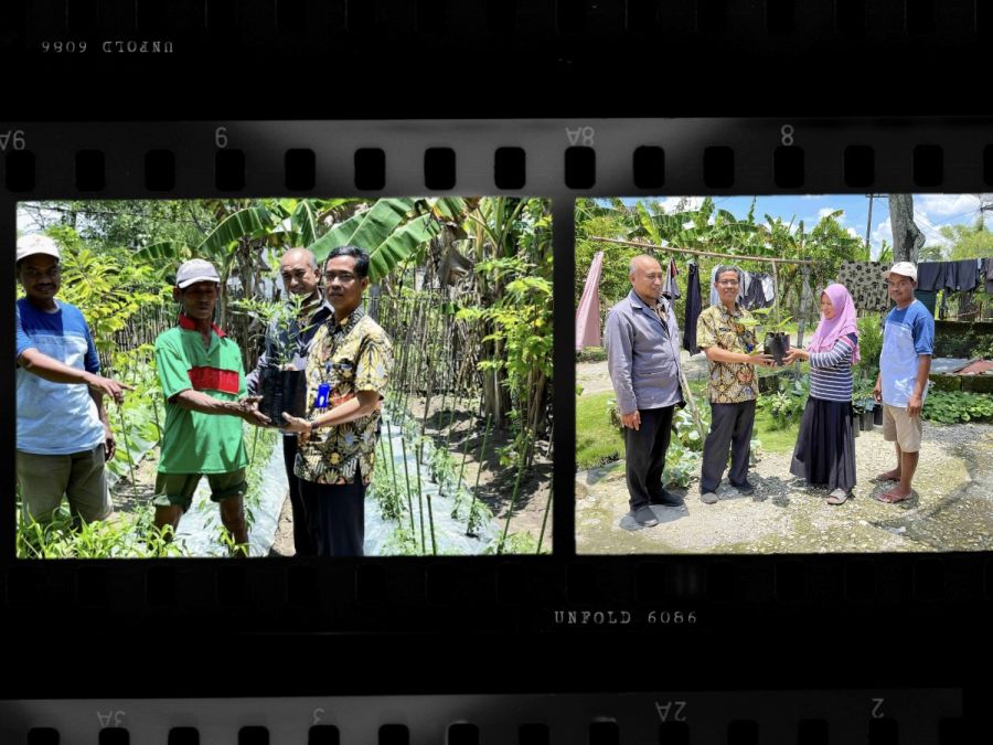 Pemkab Bojonegoro Salurkan Bibit Aneka Sayur untuk Keluarga Miskin