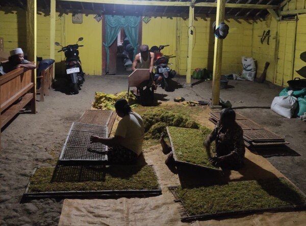 Pemkab Bojonegoro Salurkan BLT Dana Bagi Hasil Cukai Hasil Tembakau Kepada 18.695 Warga Penerima