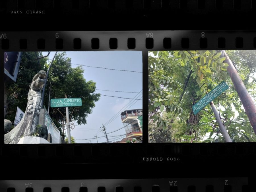 Pemkab Bojonegoro Siapkan Dua RTH Baru: Taman Migas dan Taman Halte