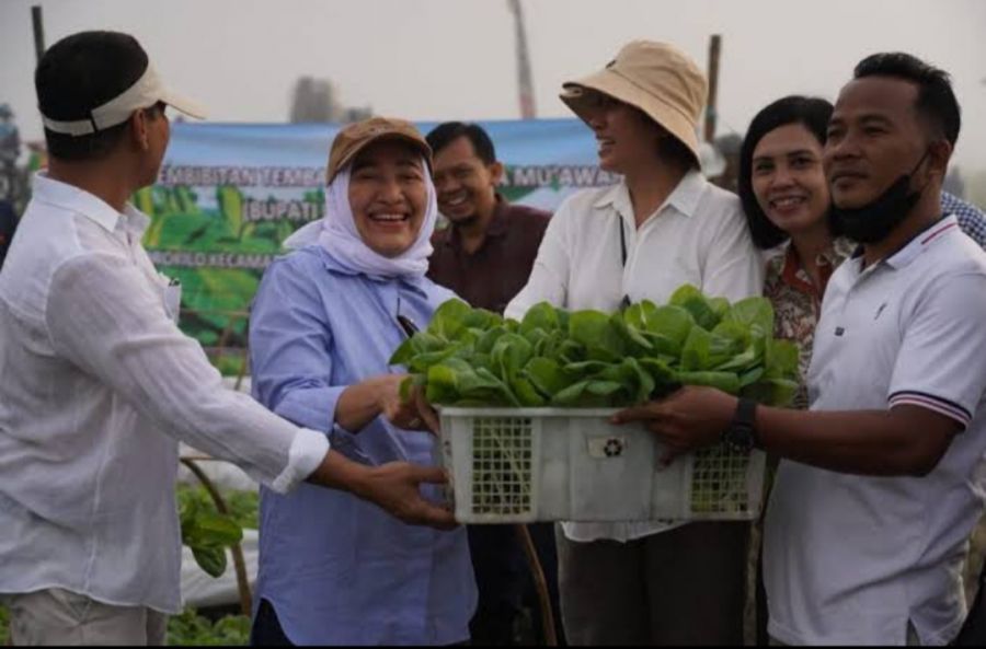 Pemkab Bojonegoro Siapkan Pupuk non Subsidi Bagi Petani Tembakau Tahun 2023
