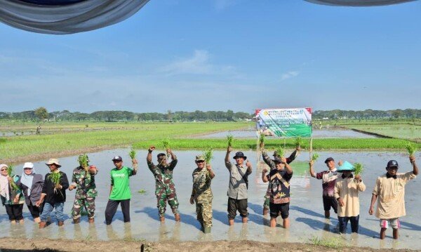 Pemkab Bojonegoro Sukseskan Gerakan Percepatan Tanam Padi Serempak se-Jawa Timur