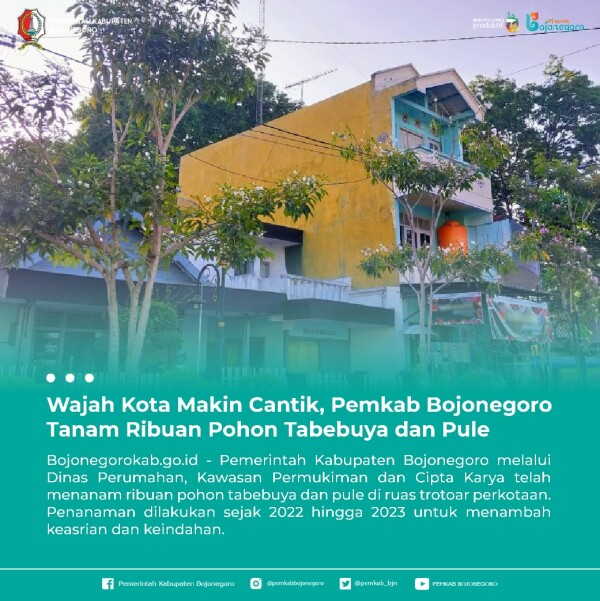 Pemkab Bojonegoro Tanam Ribuan Pohon Tabebuya dan Pule Menambah Keasrian dan Keindahan Kota
