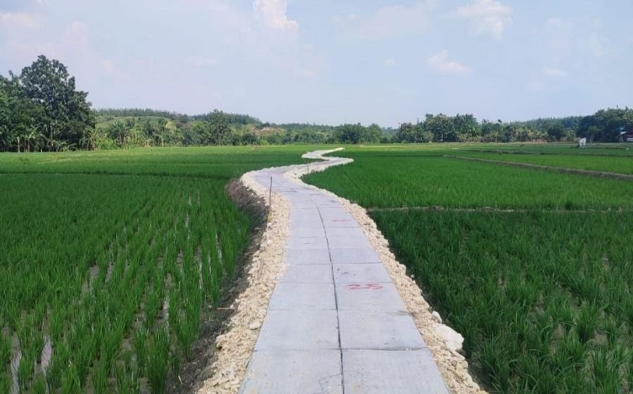 Mudahkan Akses dan Perluas Jalur Distribusi Pertanian, Pemkab Bojonegoro Terus Merealisasi Program J