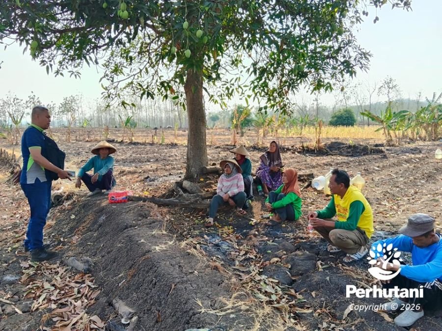 Perhutani Siapkan Musim Tanam 2026 Bersama Petani Pesanggem