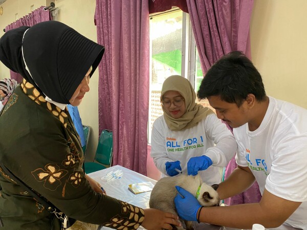 Pertahankan Bojonegoro Bebas Rabies, Disnakkan Beri Vaksin Gratis Ratusan Kucing