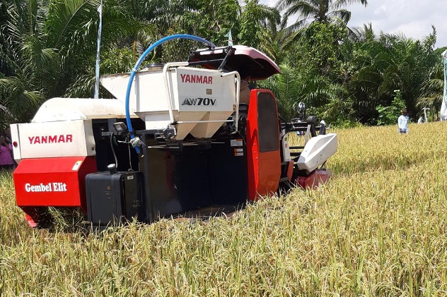 Petani Didander Bojonegoro Keluhkan Harga Gabah Semakin Anjlok