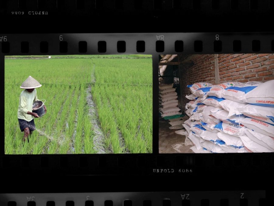 Petani Mengeluh Pupuk Subsidi diDesa Jati Tengah Masih Dijual Diatas HET 