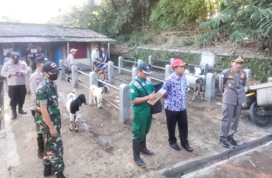 Petugas Gabungan Lakukan Sosialisasi Pencegahan Virus PMK di Sekar Bojonegoro