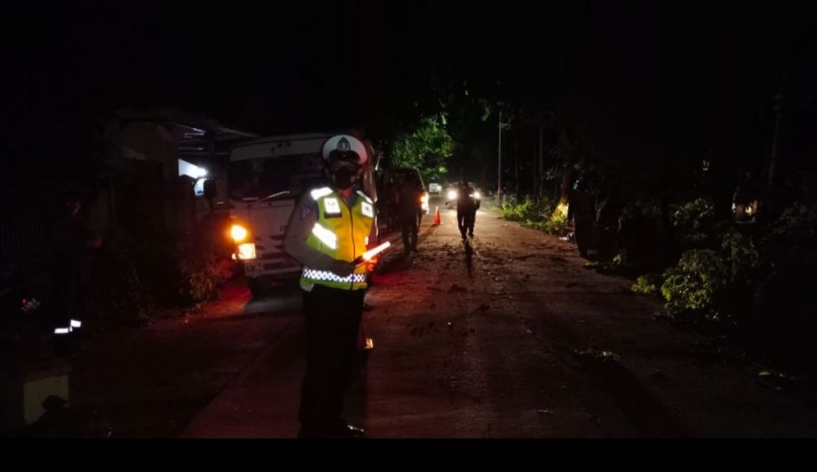 Polisi Bersama BPBD dan Petugas PLN Evakuasi Pohon Roboh Timpa Rumah Warga