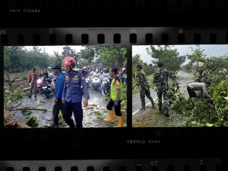 Polisi di Bojonegoro Dengan Sigap Lakukan Evakuasi Pohon Tumbang Akibat Puting Beliung