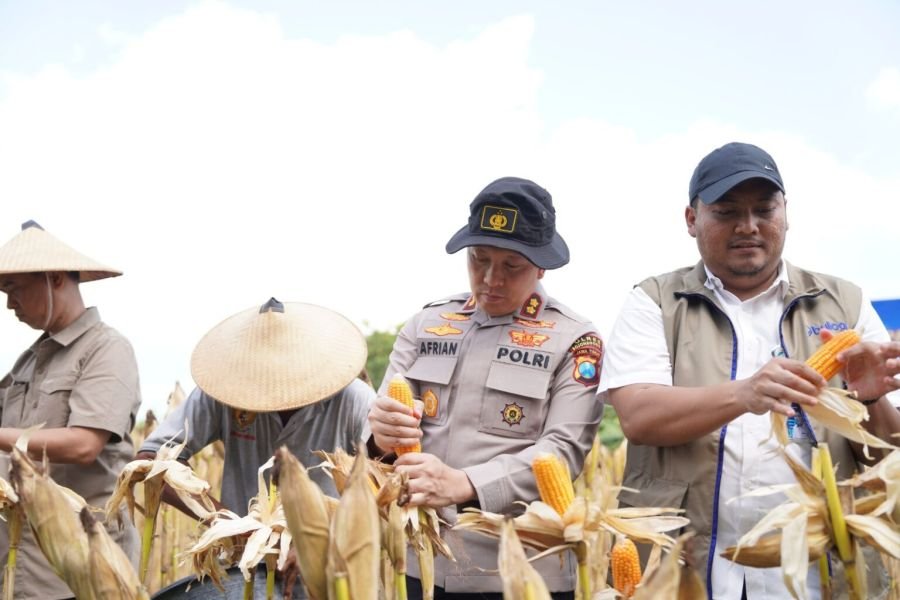 Polres Bojonegoro Ikuti Panen Raya Jagung via Jaringan Virtual
