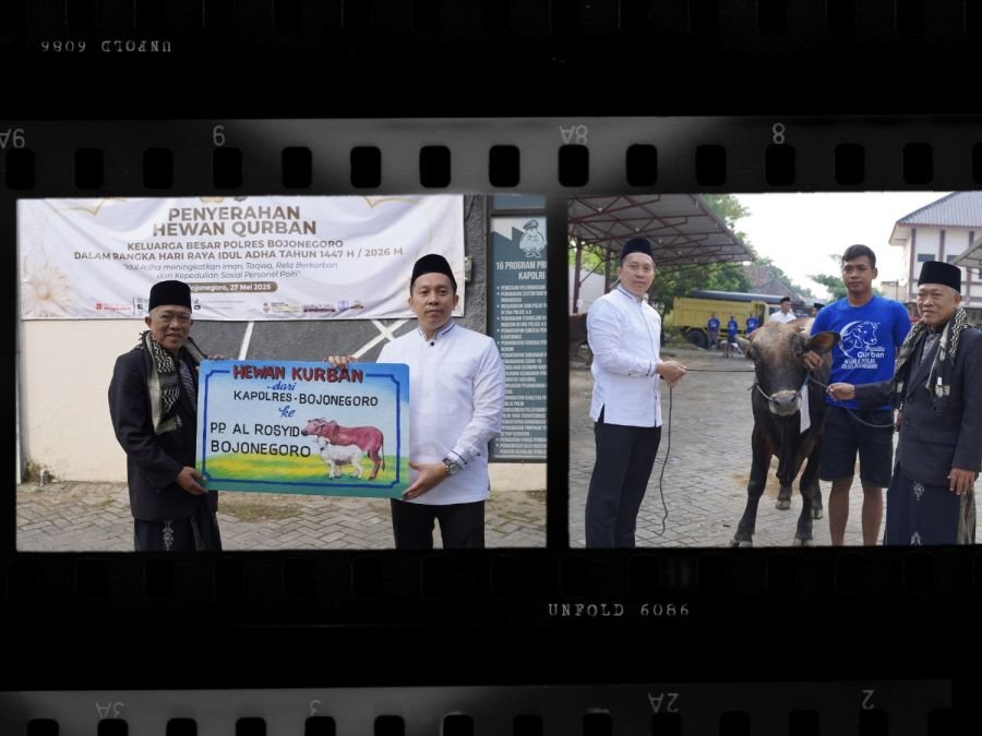 Polres Bojonegoro Salurkan 22 Sapi dan 40 Kambing Kurban pada Idul Adha 1447 H