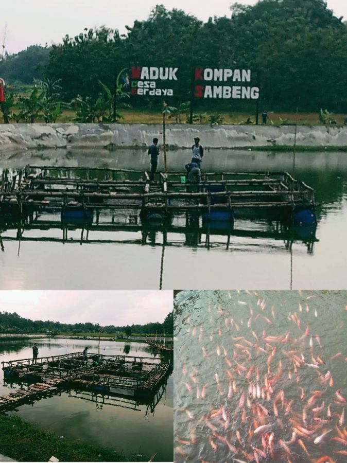 Prioritaskan Ketahanan Pangan, Kades Sambeng Pujianto Terus Memacu Bangun Desa