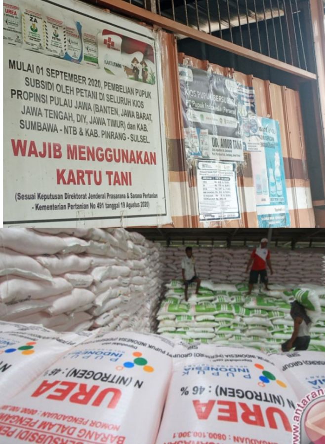 Pupuk Bersubsidi di UD Amor Tani Desa Jati Mlerek Kecamatan Plandaan Jombang Dijual Diatas HET