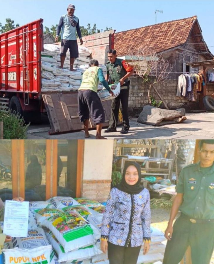 Sejahterakan Petani Jagung, Babinsa Koramil 0811/11 Kenduruan Kawal Pendistribusian Bantuan Pupuk