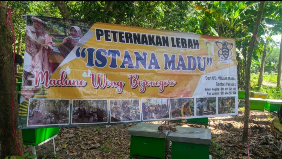 Sentra Madu Lebah di Sukosewu, Konsumen Hingga Riau