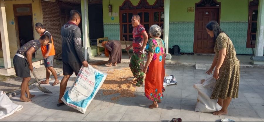 Tak canggung anggota satgas TMMD bantu warga jemur jagung