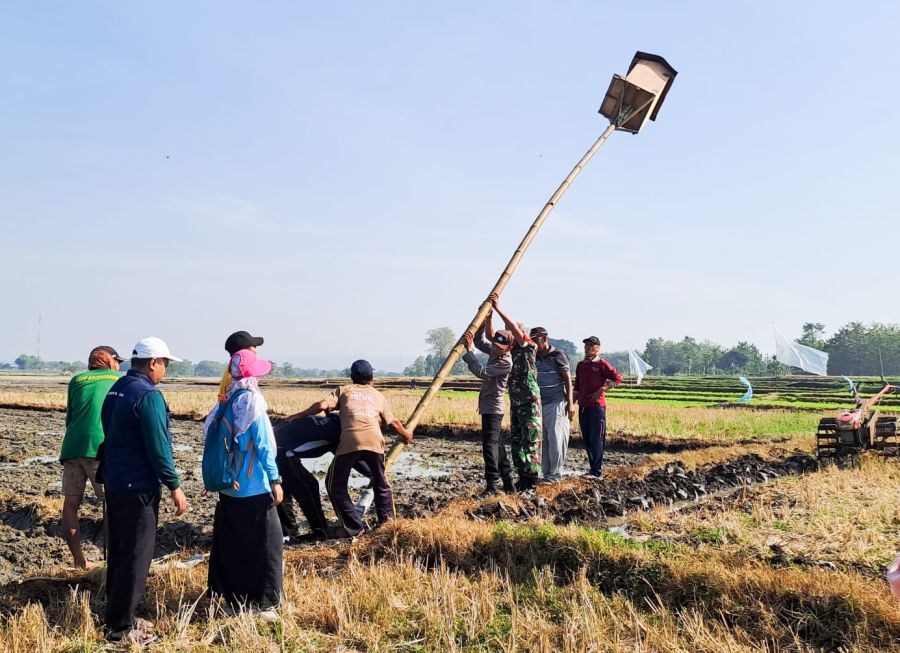 Tekan Hama Tikus, Babinsa Koramil Kalitidu Kodim 0813 Bojonegoro Bantu Petani Pasang Rubuha