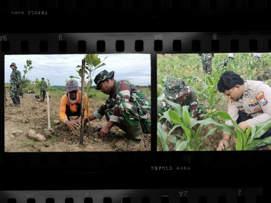 Tiga Pilar di Kedungsumber Temayang Bojonegoro Tanam Ratusan Pohon Produktif