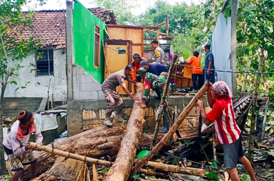 Timpa Rumah Warga, Babinsa Koramil Dander Kodim 0813 Bojonegoro bantu Evakuasi Pohon Tumbang