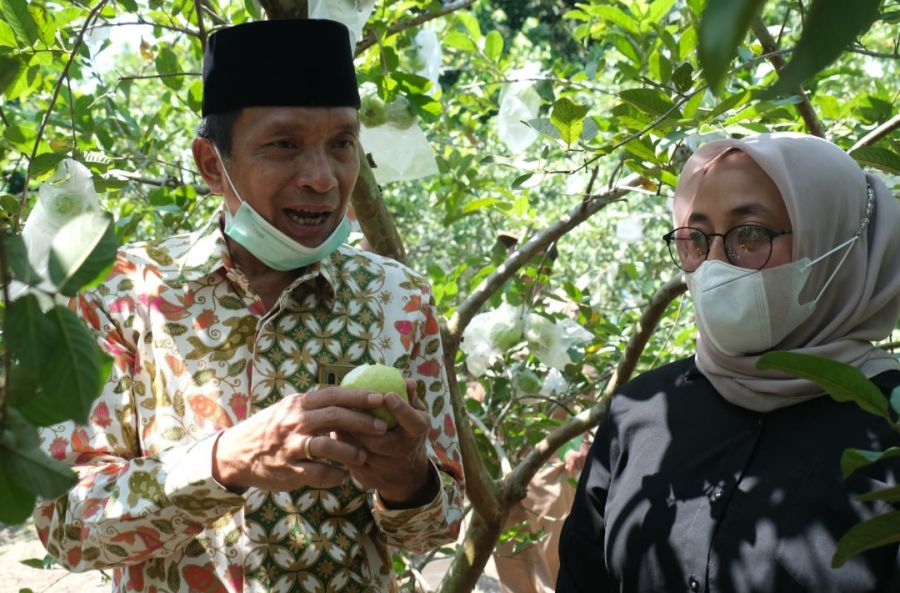 Wakil Bupati Bojonegoro Turun Gunung Sambang Kebun Jambu Kristal di Desa Padang Trucuk