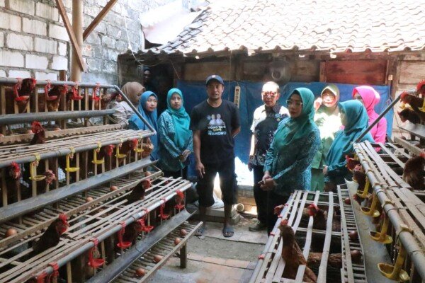 Warga Gedongarum-Kanor Sukses Kembangkan Ayam Petelur