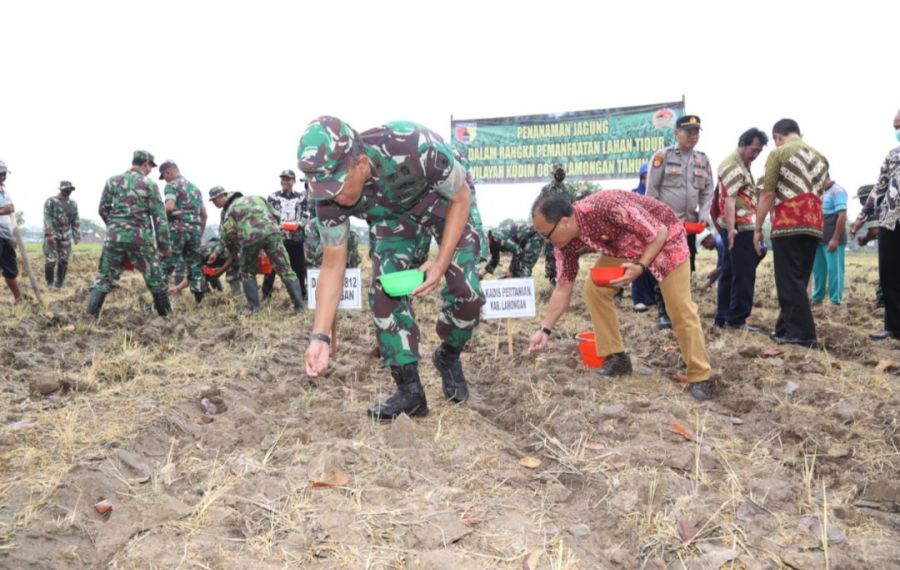 Wujudkan Ketahanan Pangan, Kodim 0812 Lamongan Laksanakan Penanaman Jagung