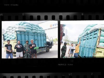 babinsa-kodim-0813-bojonegoro-terus-dampingi-penyerapan-gabah-petani
