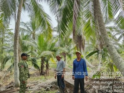 Babinsa Koramil 12/Batang Tuaka Patroli Tapal Batas, Api dan Asap Nihil