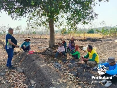 perhutani-siapkan-musim-tanam-2026-bersama-petani-pesanggem